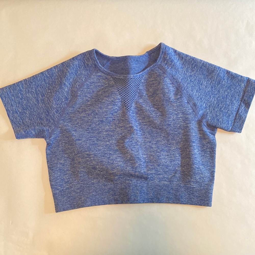 Buffbunny Atlantic Recharge Seamless Crop Top